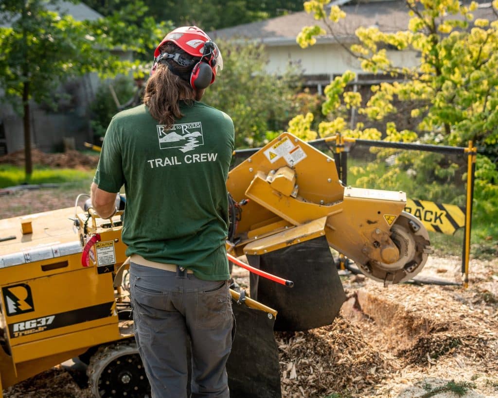 Stump Grinding