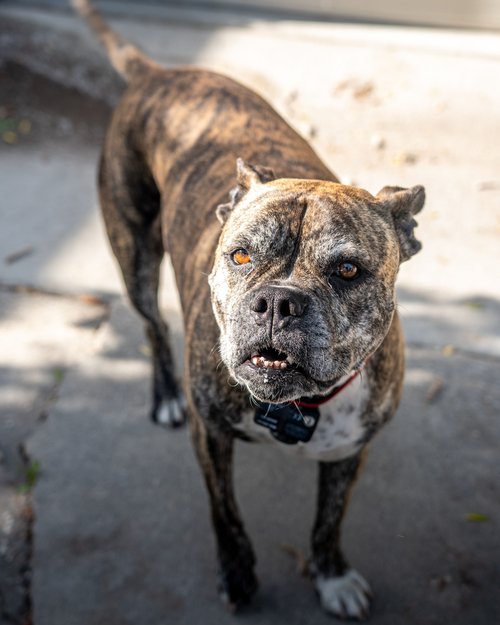 Tara, Company Greeter