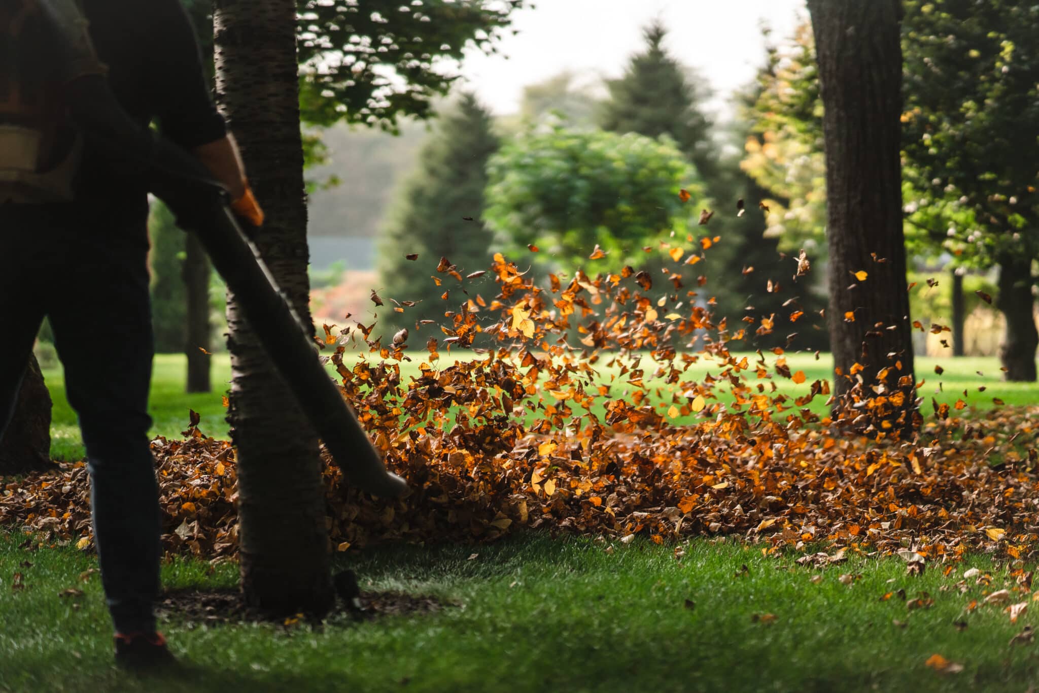 Worker operating a heavy-duty leaf blower during a yard cleanup
